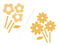 お花の種類